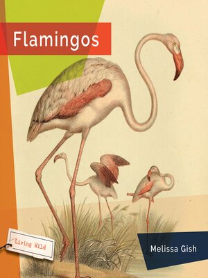 cover image of Flamingos